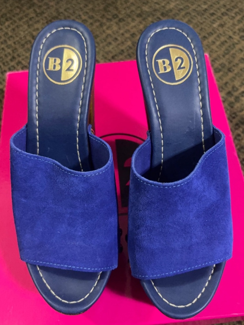 B2 Royal Blue Suede Slide Mules